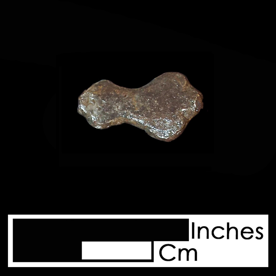 Image of copper alloy leather ornament, Trifid Bleeding Heart.