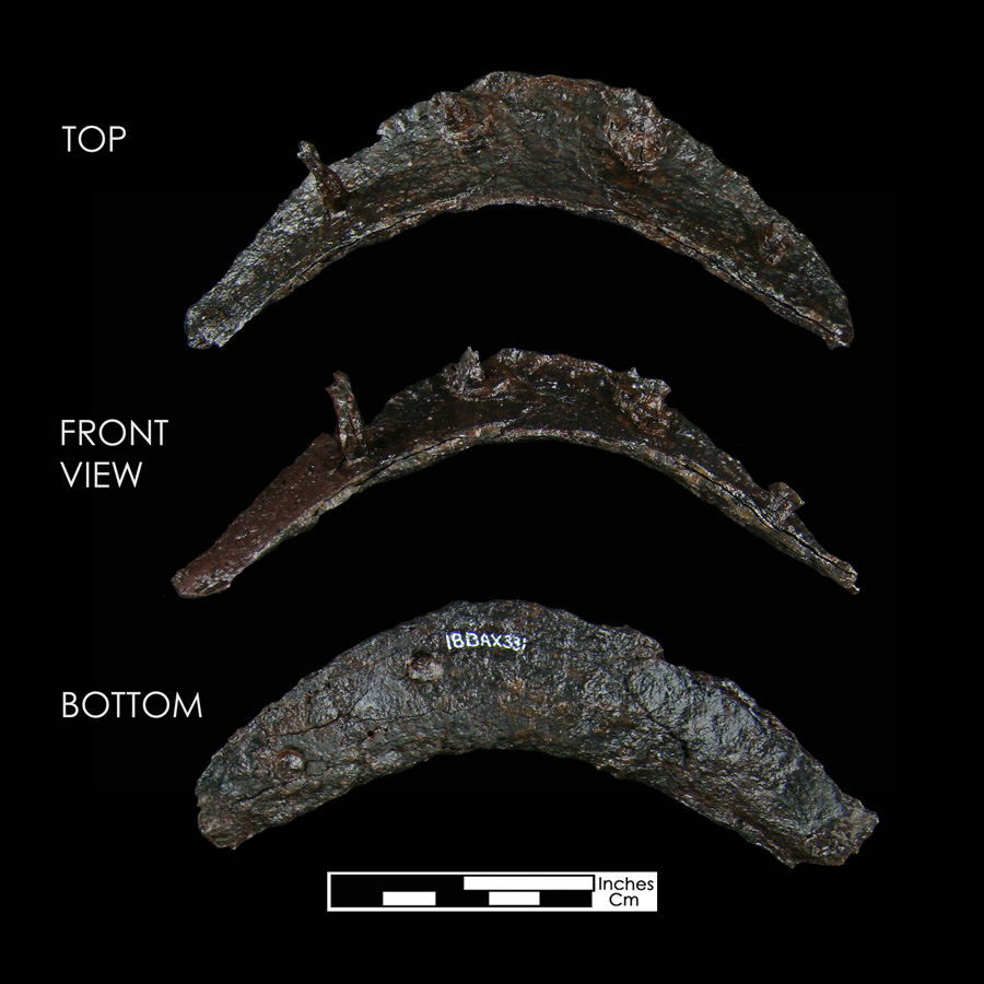 Image of iron saddle plate, Rear Plate.