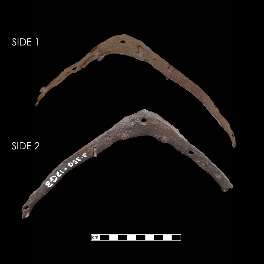 Image of iron saddle plate.