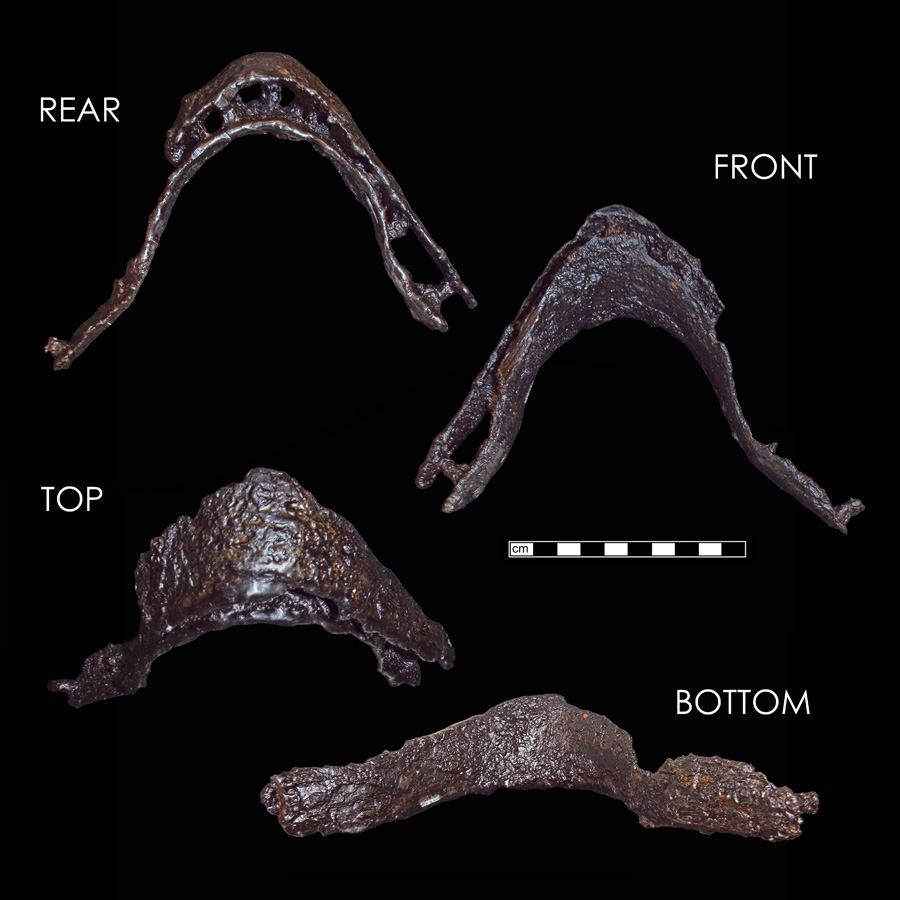 Image of iron saddle plate.