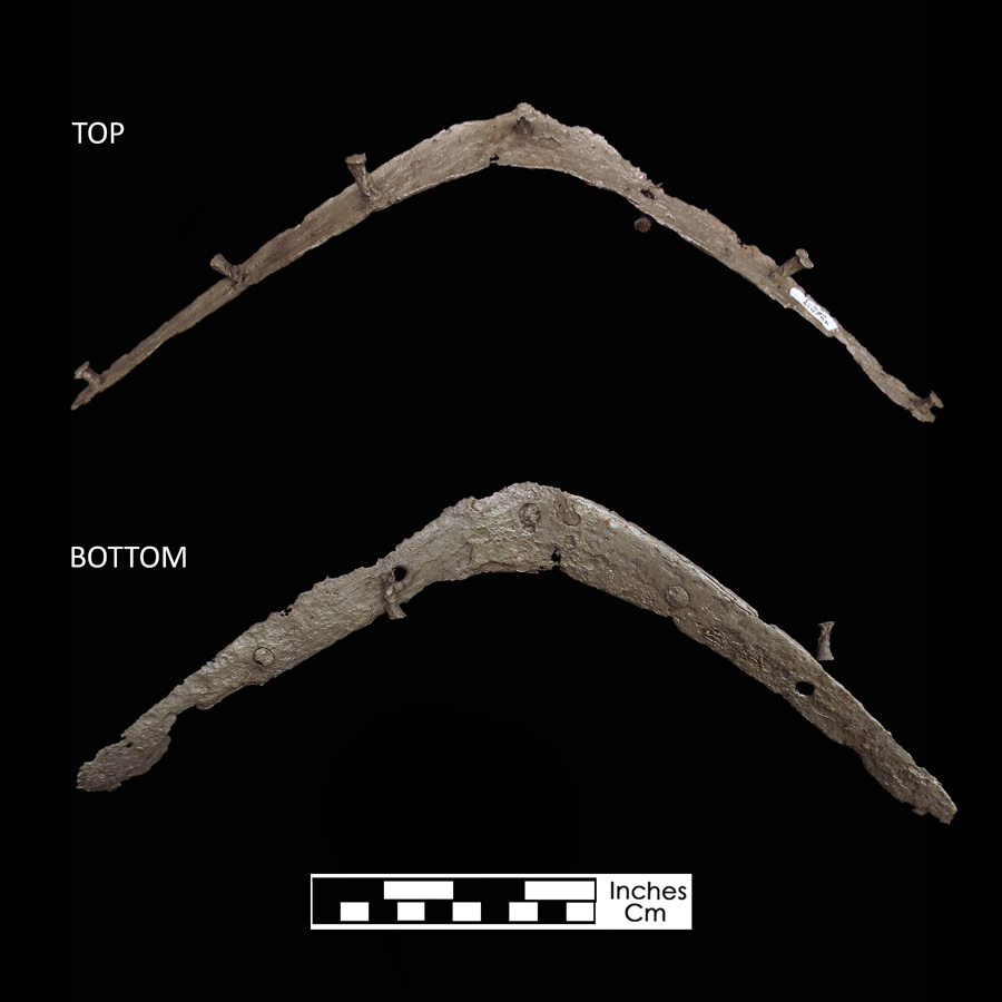 Image of iron saddle plate, Rear Plate.