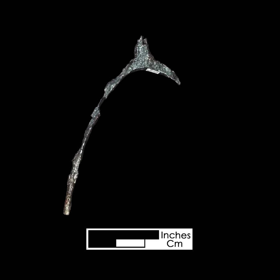 Image of iron spur.