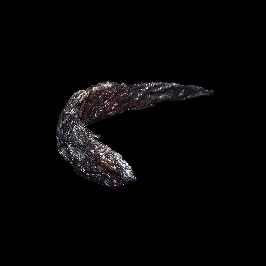 Image of iron spur.