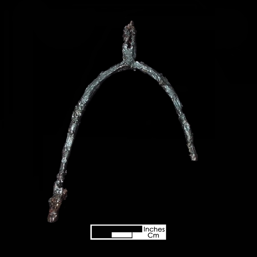 Image of iron spur.