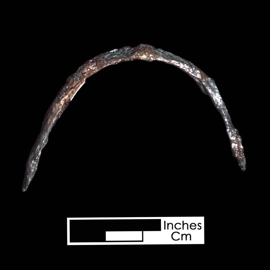 Image of iron spur.