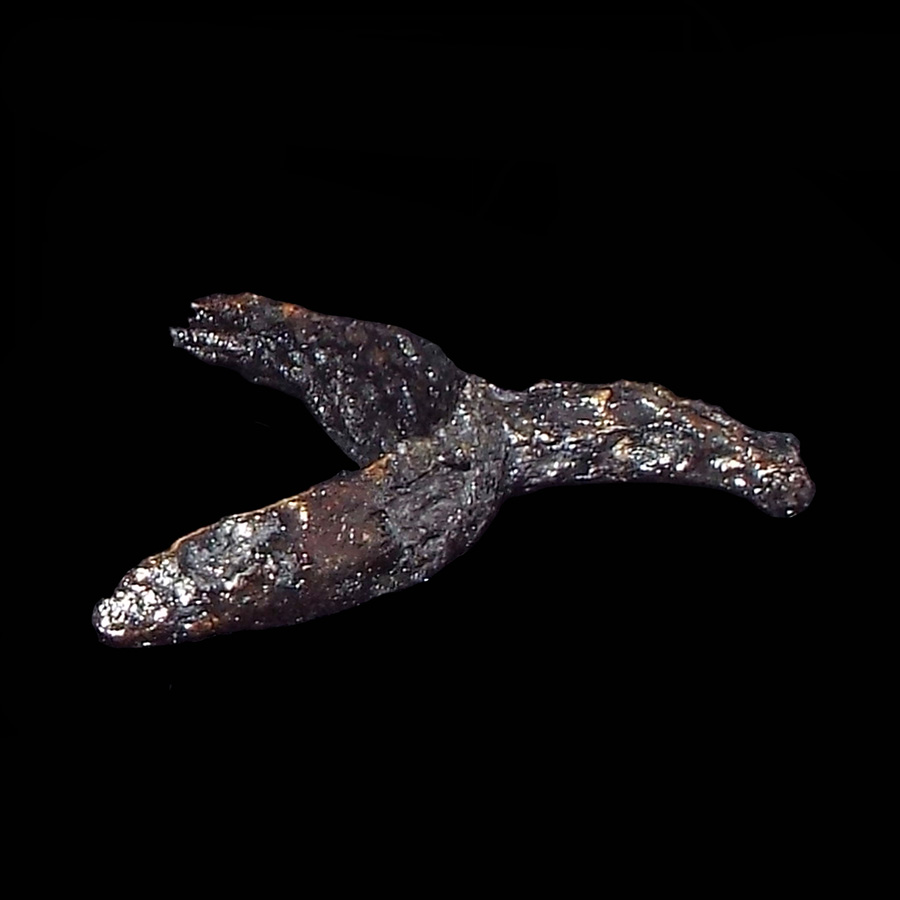 Image of iron spur.