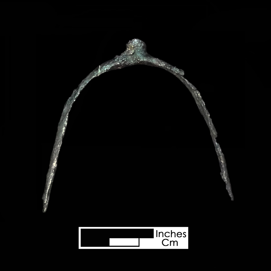 Image of iron spur.