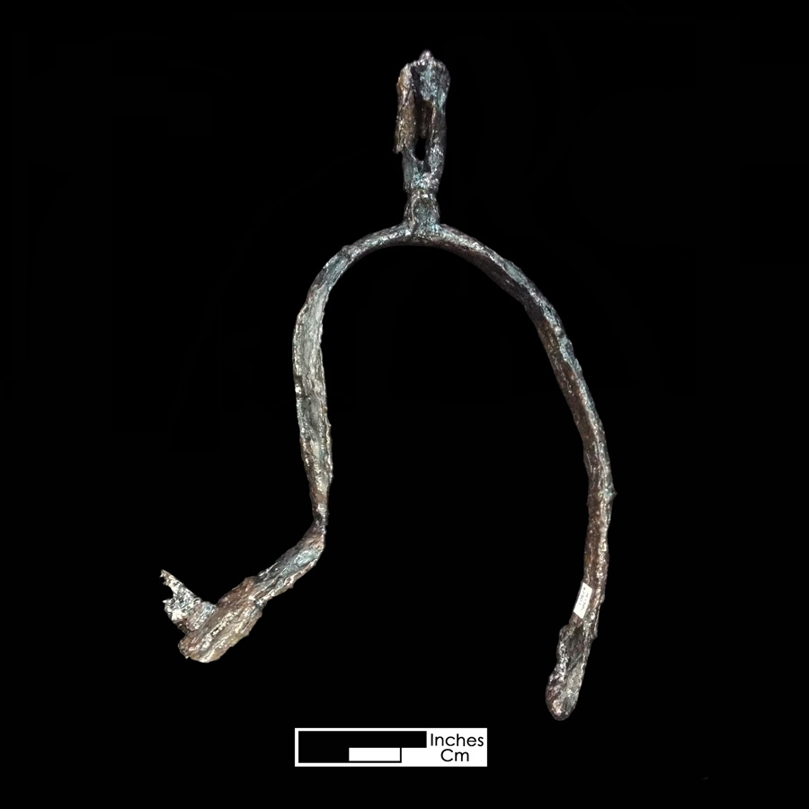 Image of iron spur.