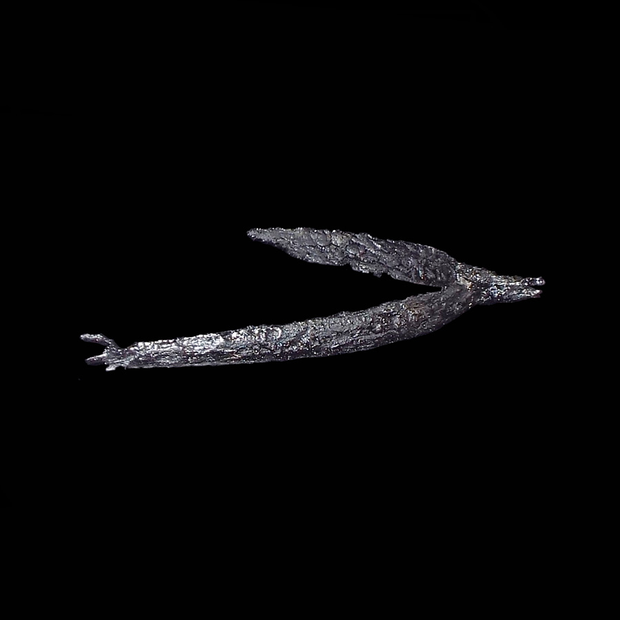 Image of iron spur.