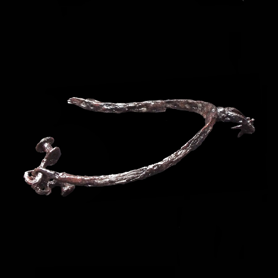 Image of iron spur.