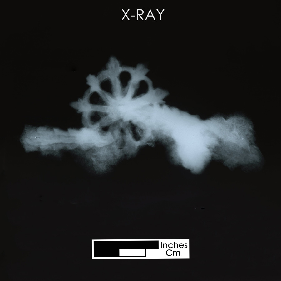 Image of iron spur.