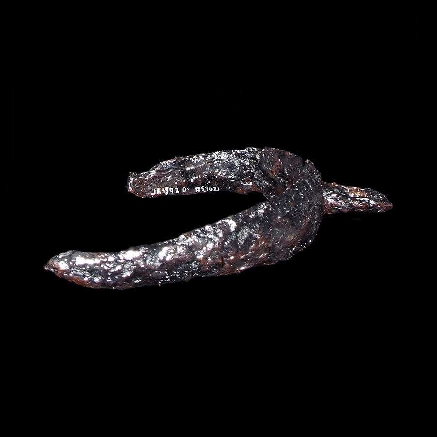 Image of iron spur.