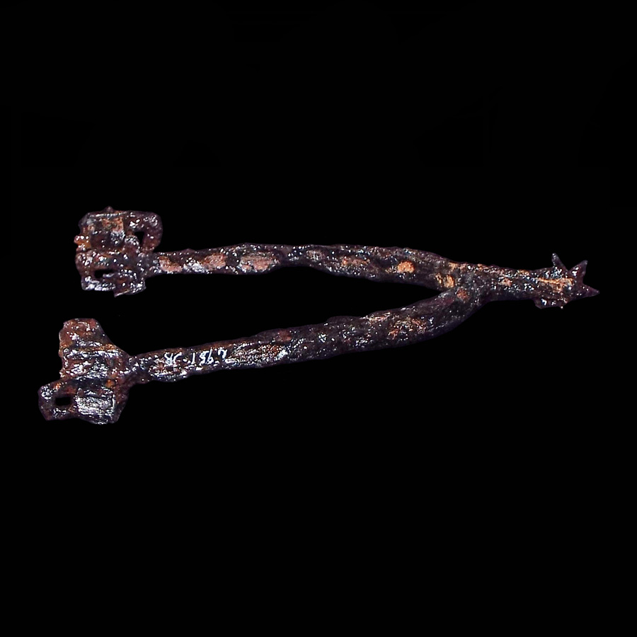Image of iron spur.