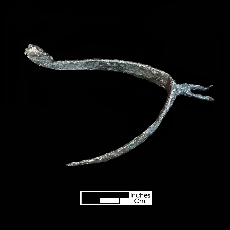 Image of iron spur.