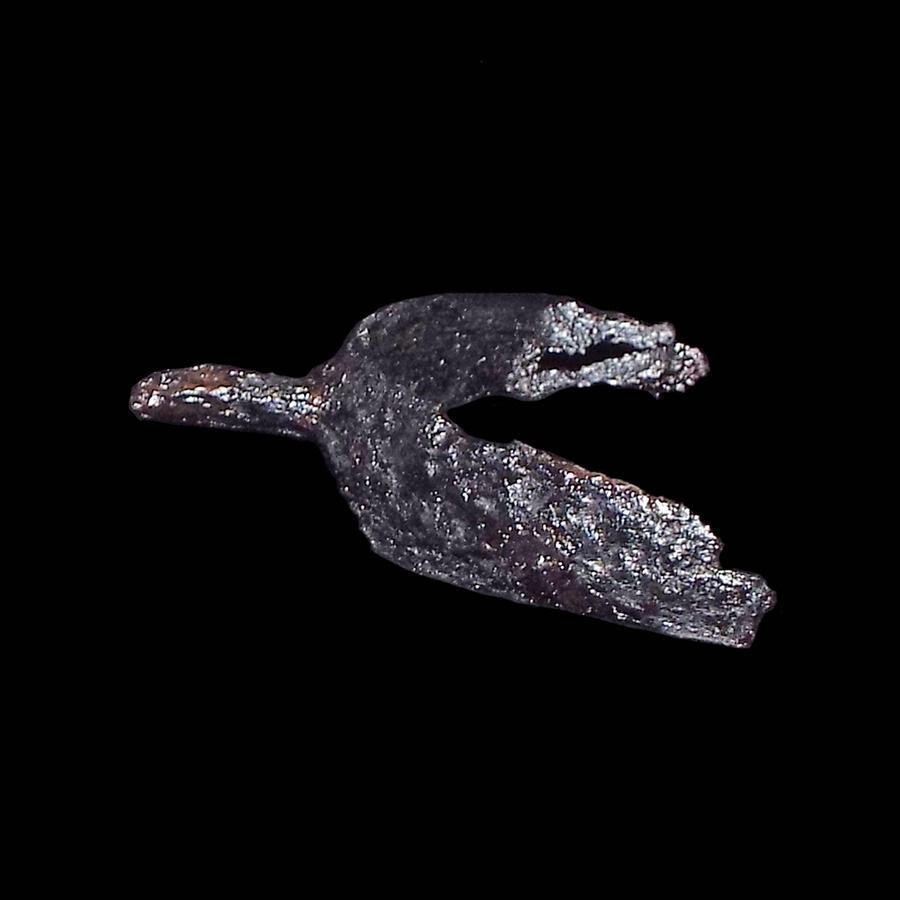 Image of iron spur.