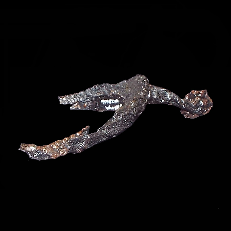Image of iron spur.