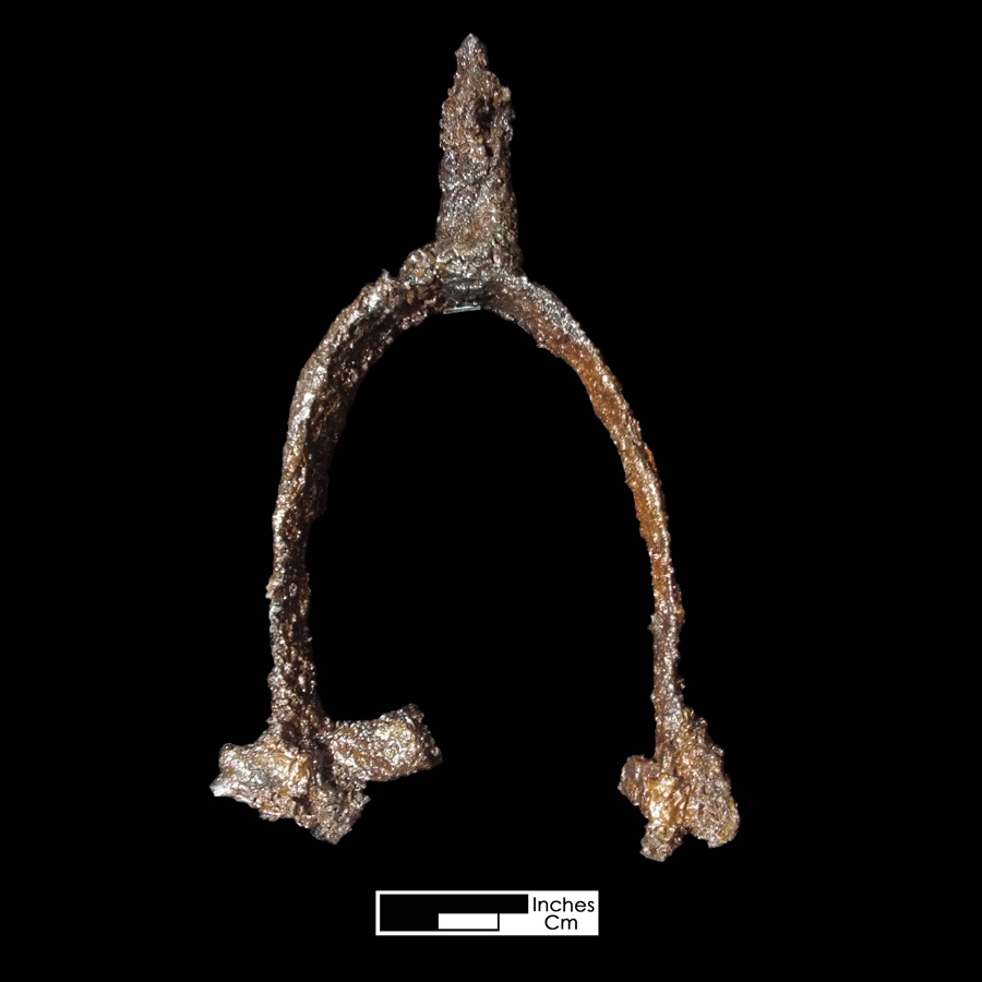 Image of iron spur.