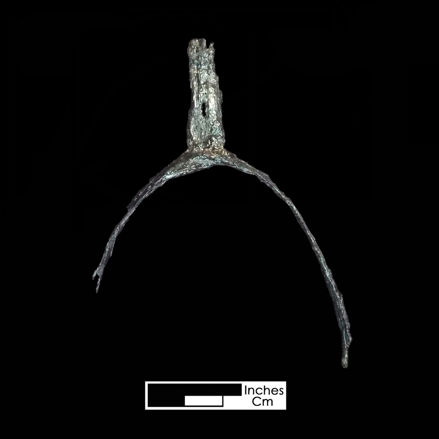 Image of iron spur.