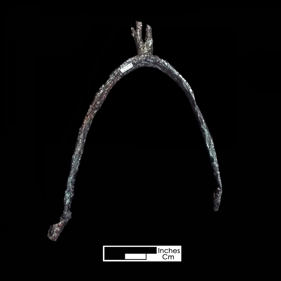 Image of iron spur.