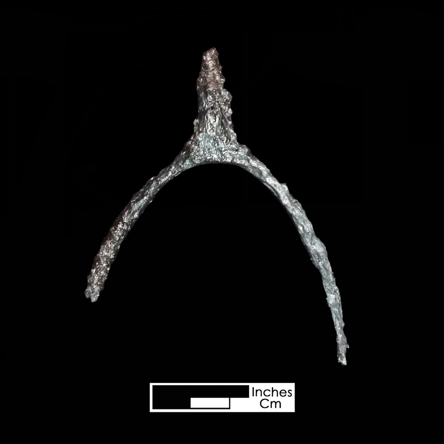 Image of iron spur.