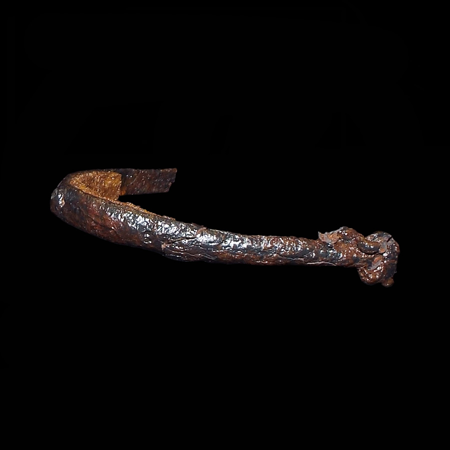 Image of iron spur.