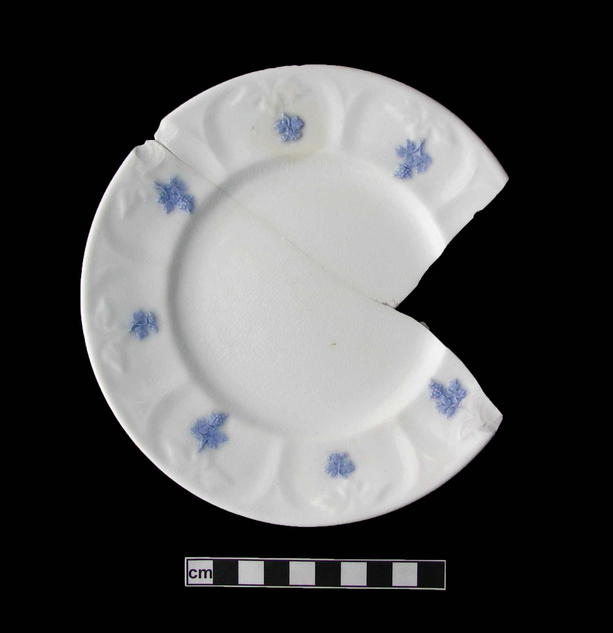 Image of bone china fragment.