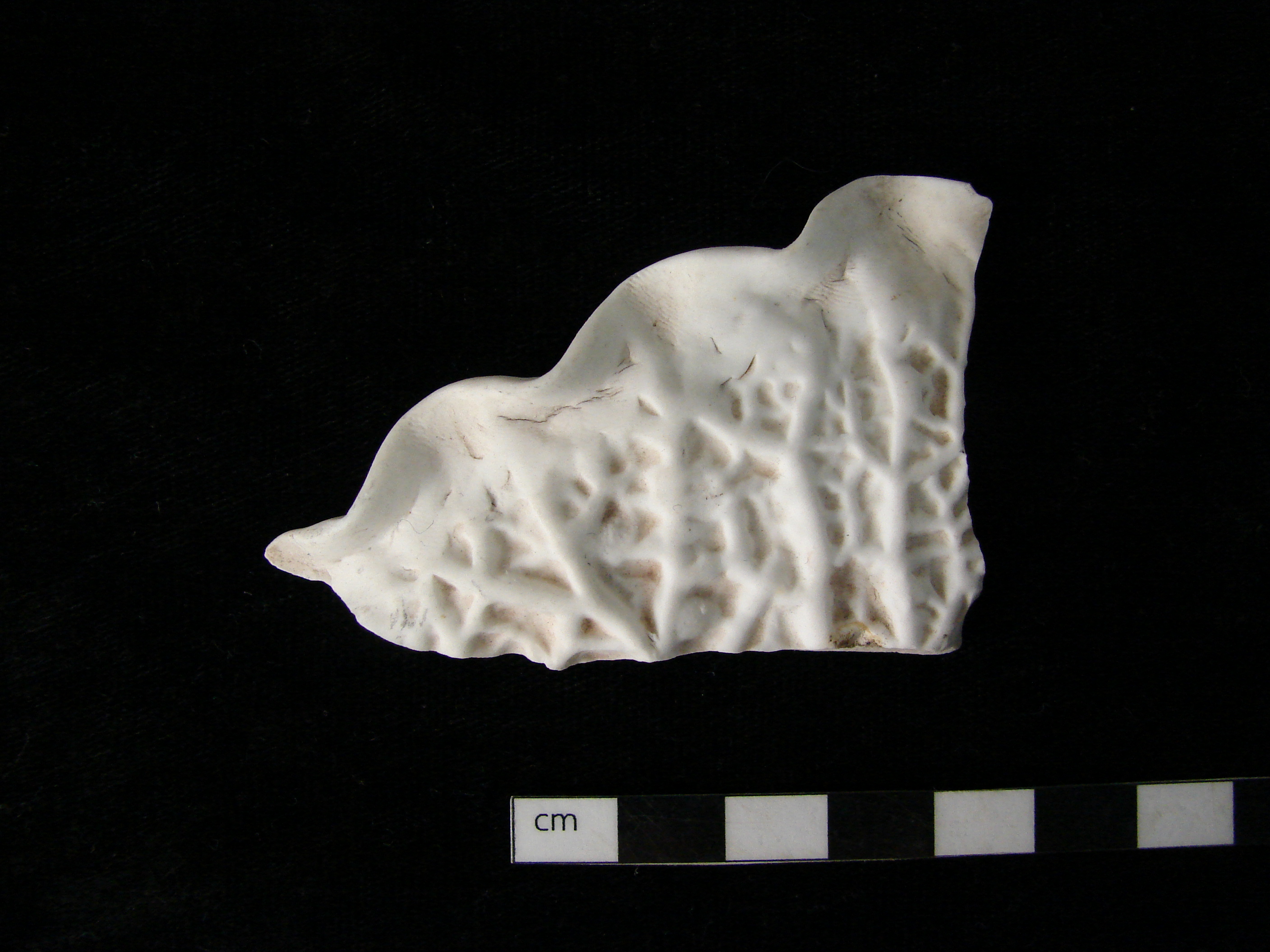 Image of bone china fragment.