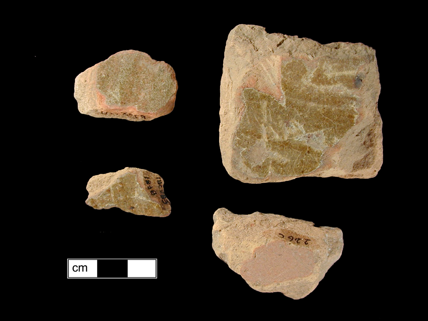 Image of Border Ware fragment.