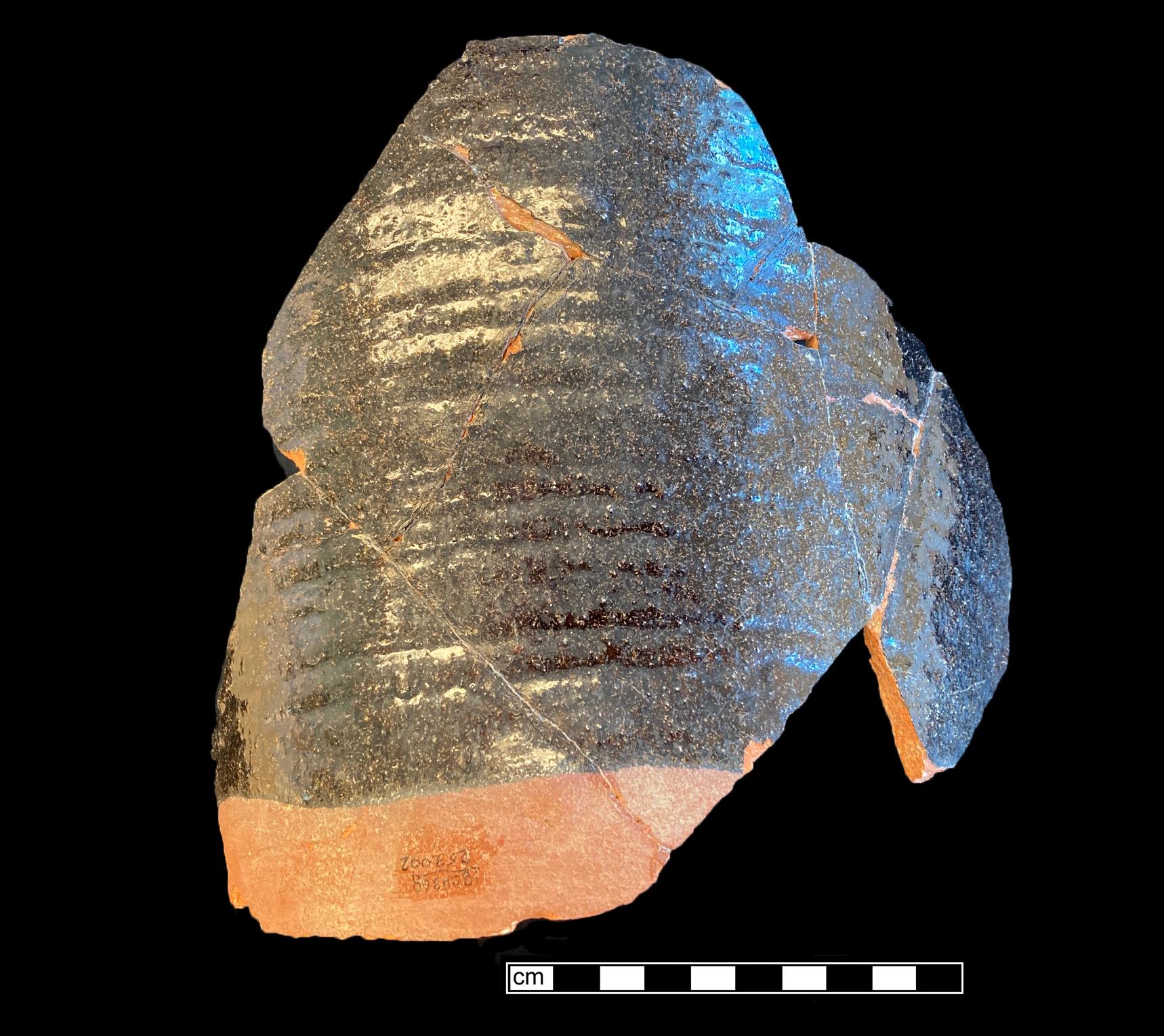 Image of Buckley type fragment.