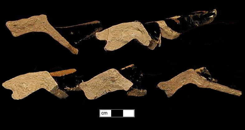 Image of Buckley type fragment.