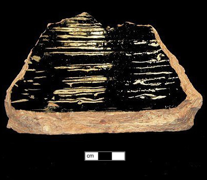 Image of Buckley type fragment.