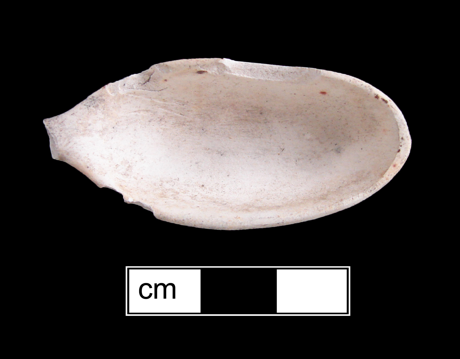 Image of creamware fragment.