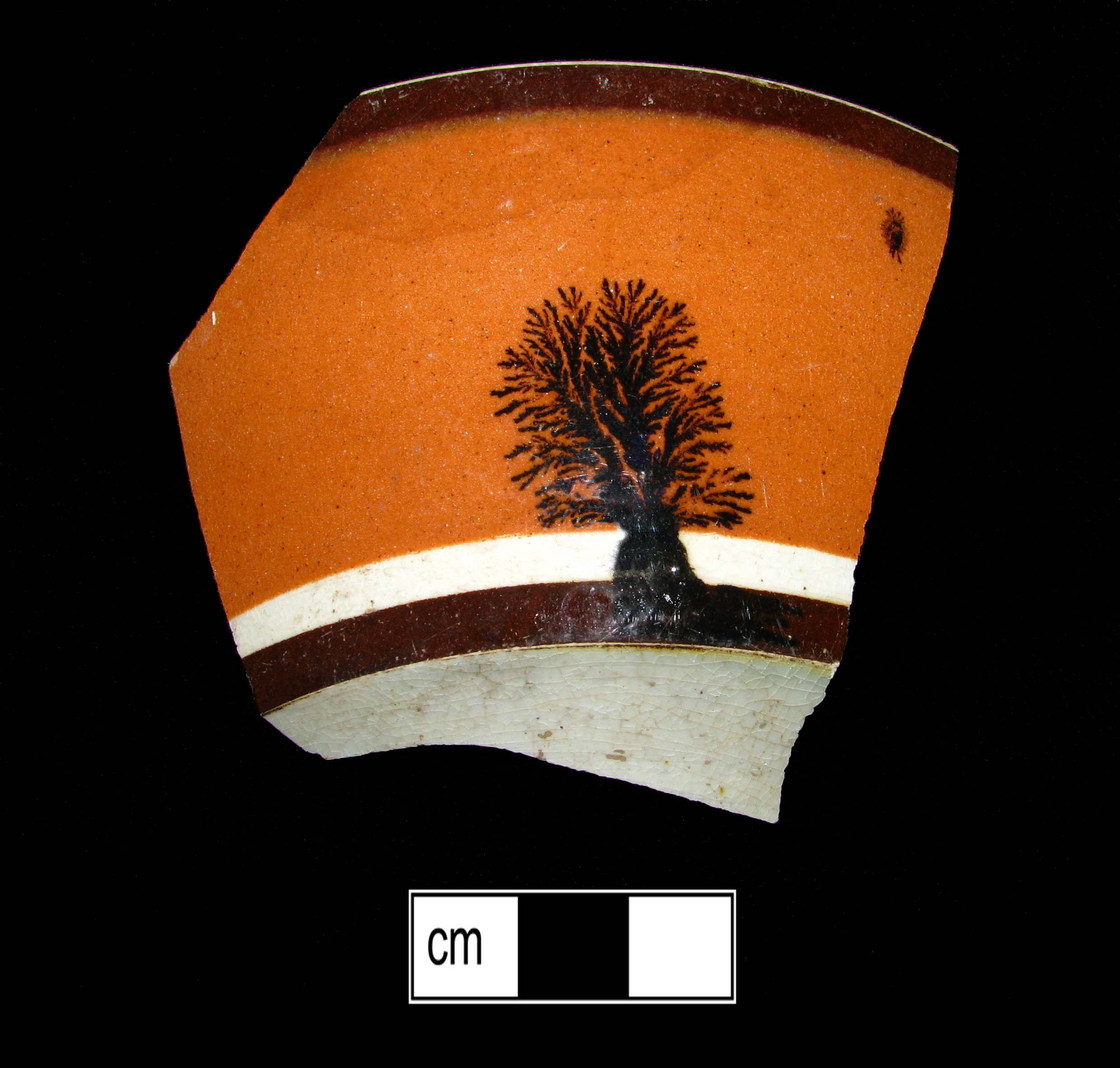 Image of dipped earthenware fragment.
