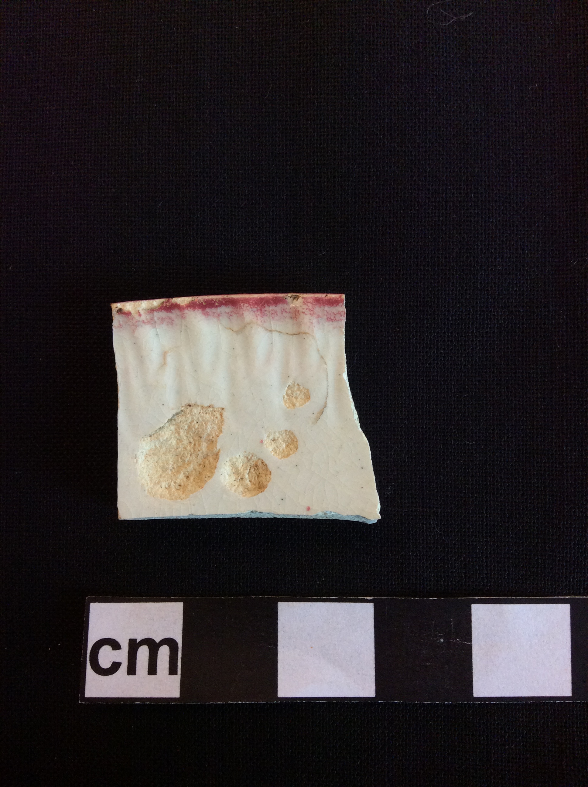Image of edged earthenware fragment.