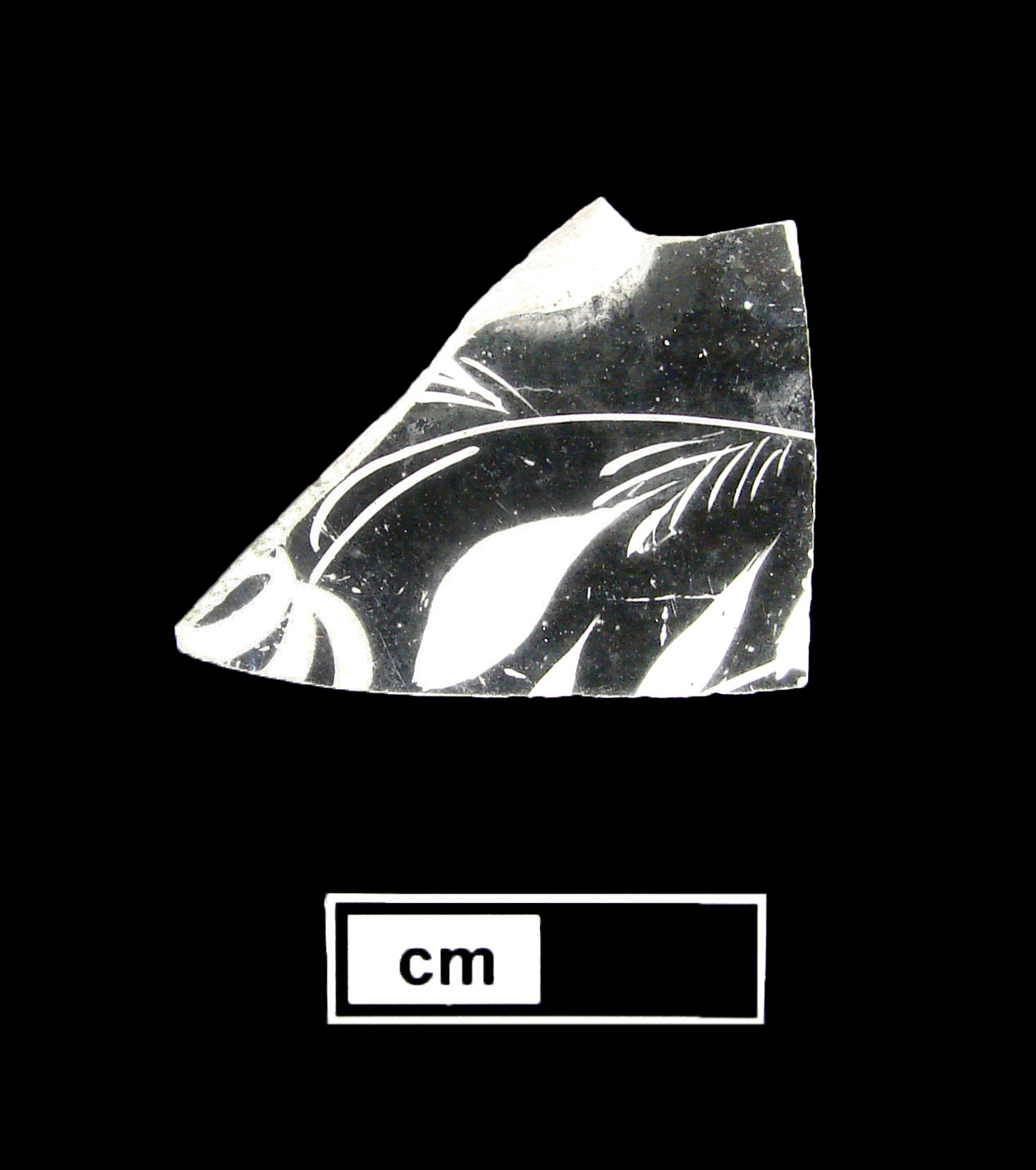 Image of luster ware fragment.