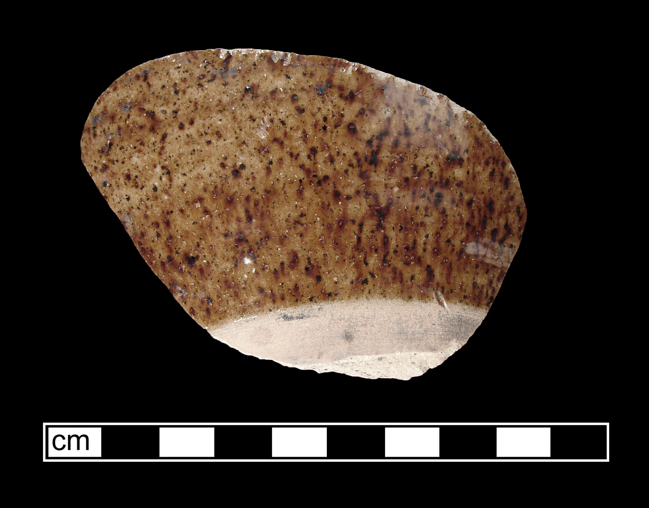Image of manganese mottled eathenware fragment.