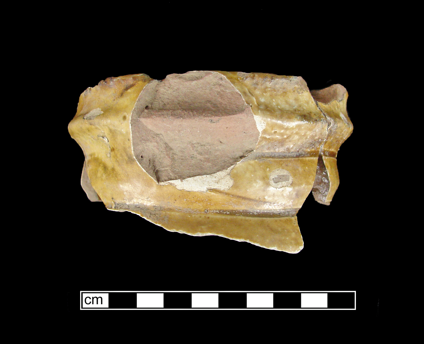 Image of North Devon Sgraffito fragment.