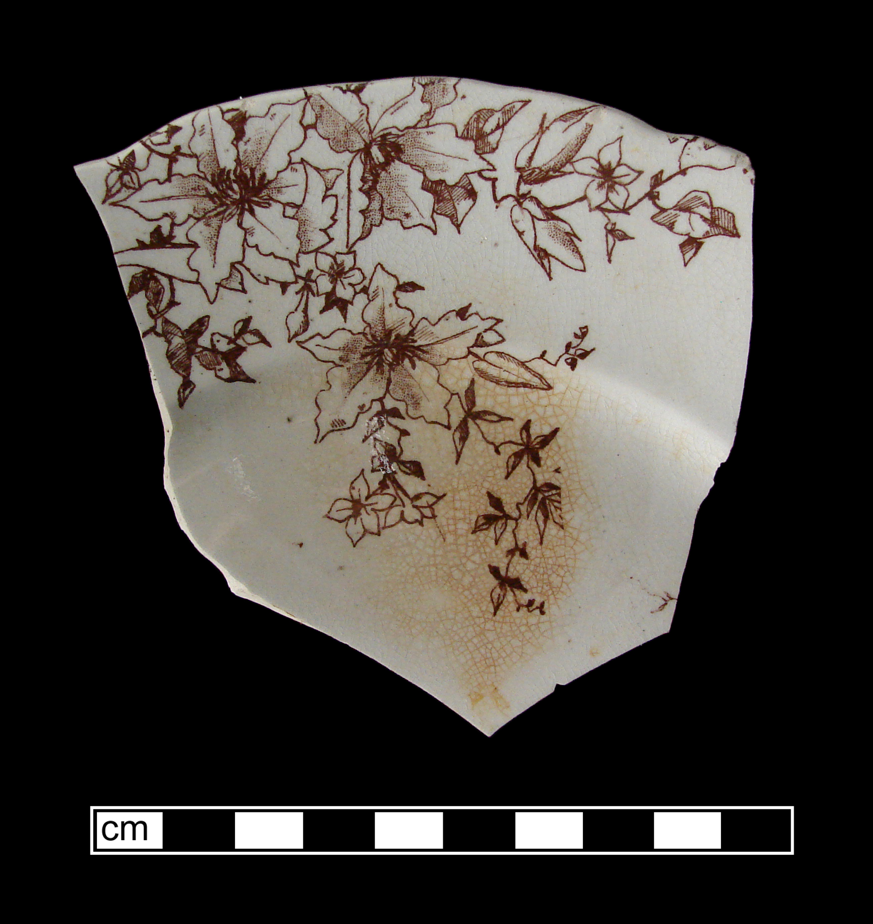Image of printed earthenware fragment.