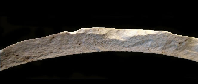 Image of relief molded stoneware jug fragment.