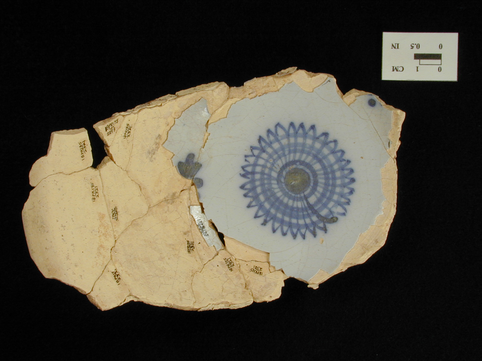 Image of tin-glazed earthenware fragment.