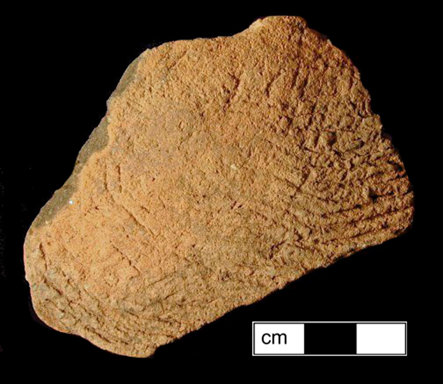Image of ceramic, Sand Tempered Body with Cord-Marked Surface Treatment, Accokeek type, Undecorated