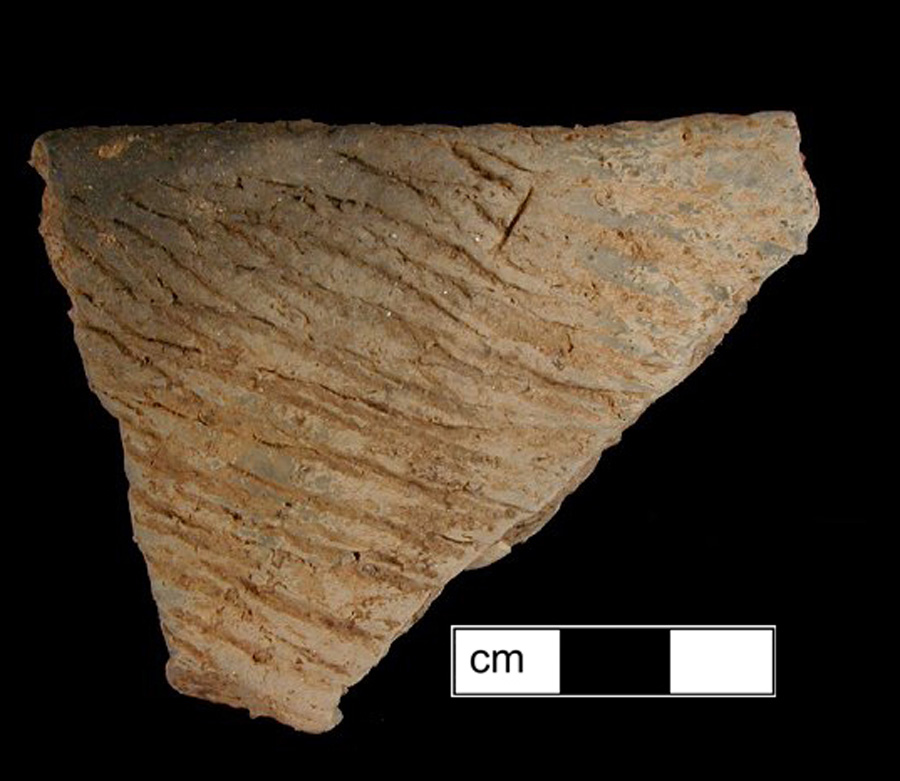 Image of ceramic, Sand Tempered Rim with Cord-Marked Surface Treatment, Accokeek type, Undecorated