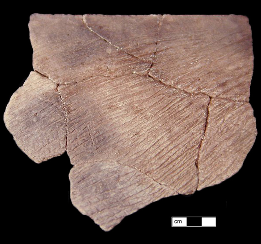 Image of ceramic, Crushed Quartz Tempered Mended Body/Rim with Cord-Marked Surface Treatment, Accokeek type, Undecorated
