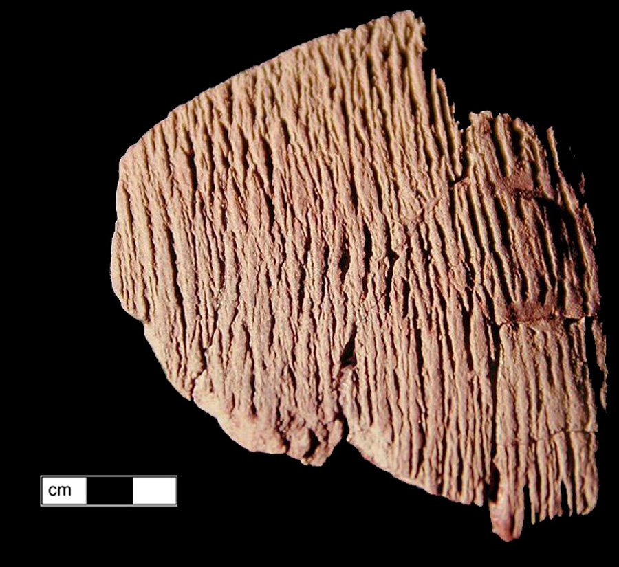 Image of ceramic, Crushed Quartz Tempered Mended Body with Cord-Marked Surface Treatment, Accokeek type, Undecorated