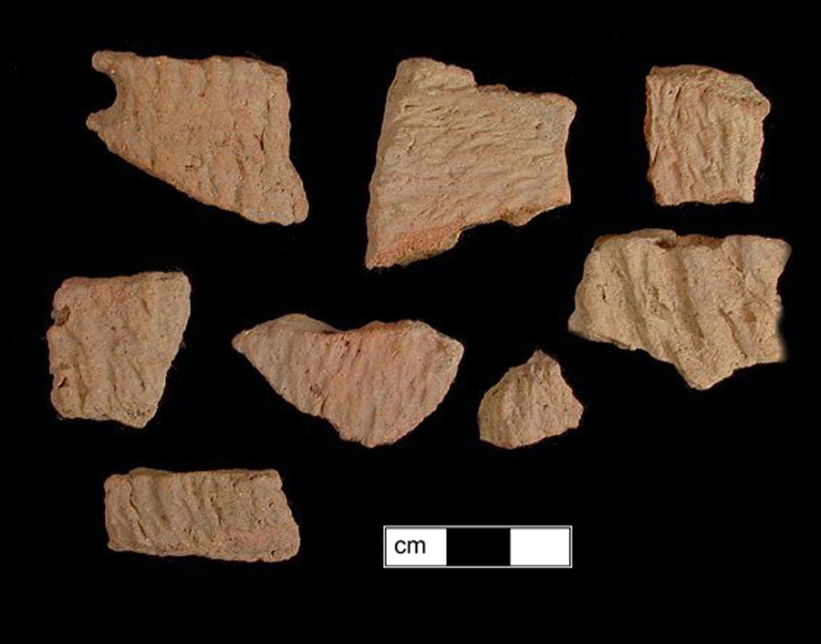 Image of ceramic, Sand Tempered Body with Cord-Marked Surface Treatment, Accokeek type, Undecorated