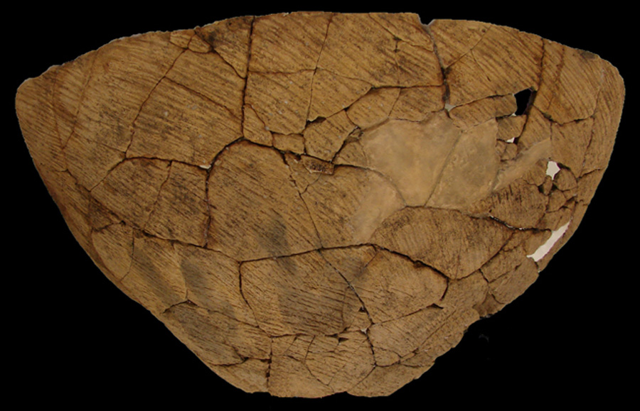 Image of ceramic, Sand/Crushed Quartz Tempered Mended Vessel with Cord-Marked Surface Treatment, Accokeek type, Undecorated