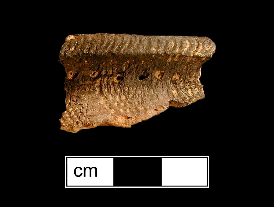 Image of ceramic, Crushed Rock Tempered Rim with Fabric-Impressed Surface Treatment, Clemson Island type, Cord-Wrapped Stick; Punctate; Lip-nicking