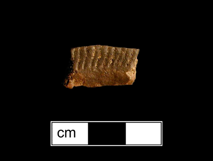 Image of ceramic, Crushed Rock Tempered Rim with Cord-Marked Surface Treatment, Clemson Island type, Cord-Wrapped Stick