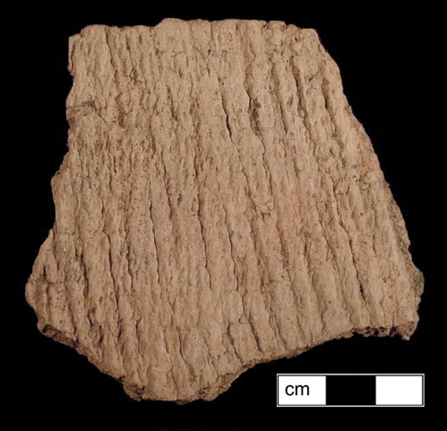 Image of ceramic, Grog Tempered Body with Cord-Marked Surface Treatment, Coulbourn type, Undecorated
