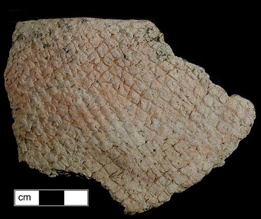 Image of ceramic, Grog Tempered Rim with Net-Impressed Surface Treatment, Coulbourn type, Undecorated